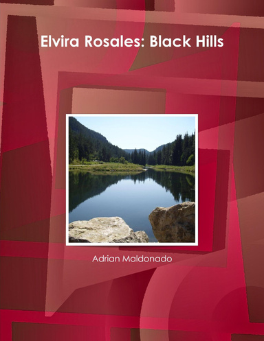 Elvira Rosales: Black Hills