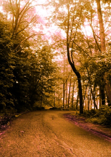 MNIS Part Three: ABSENT AND ALONE
