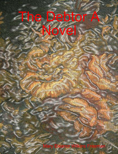 The Debtor A Novel