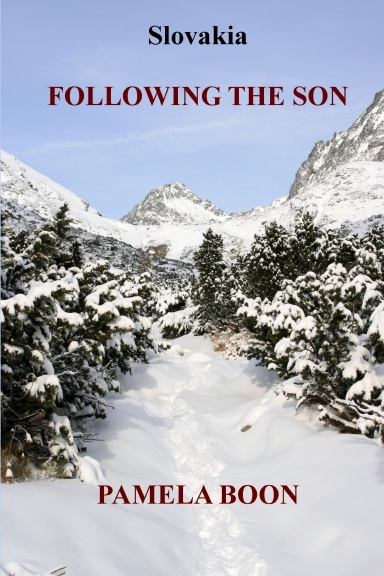Following The Son