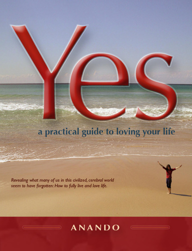 Yes - a practical guide to loving your life