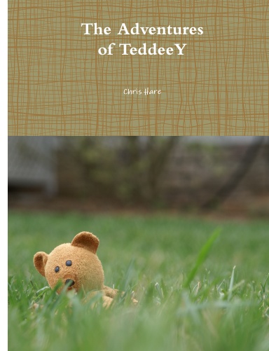 The Adventures of TeddeeY rev2