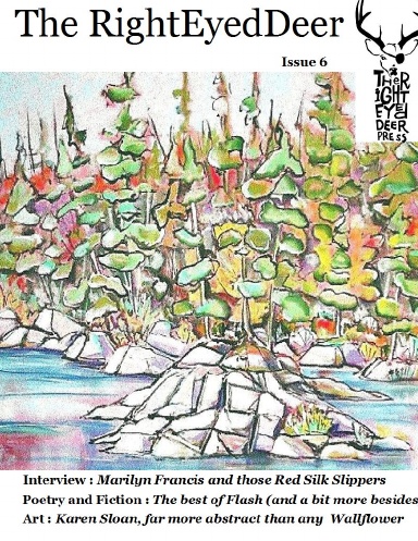The RightEyedDeer - Issue 6