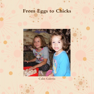 From Eggs to Chicks