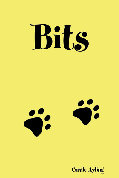Bits