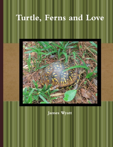 Turtle, Ferns and Love