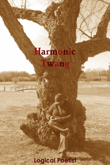 Harmonic Twang: A Determined Poet's Stairwell to Faith
