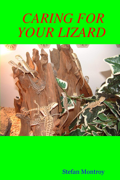CARING FOR YOUR LIZARD