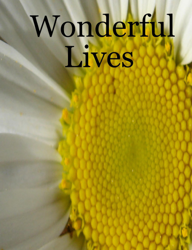 Wonderful Lives