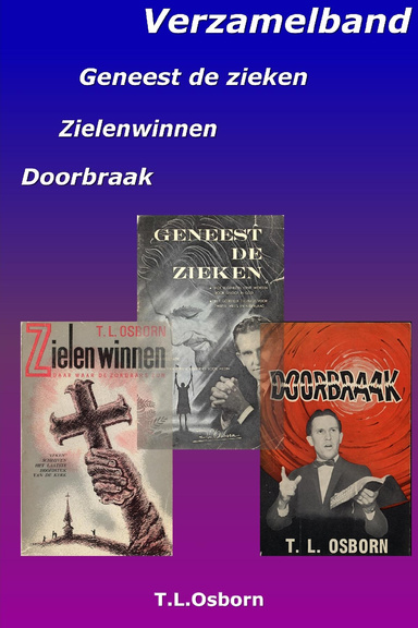 Verzamelbundel