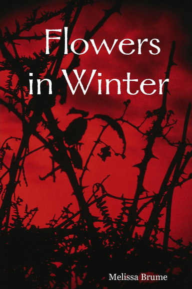 Flowers in Winter
