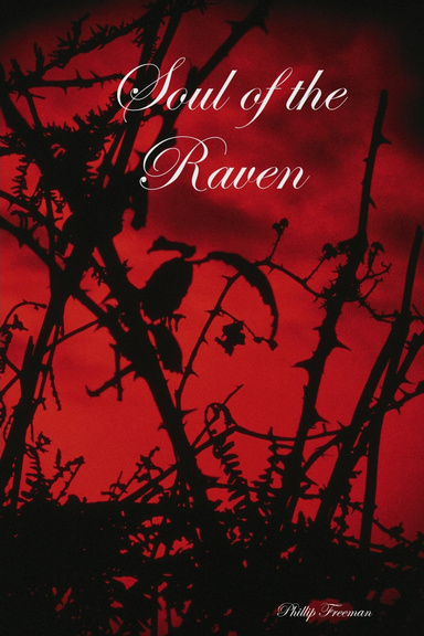Soul of the Raven