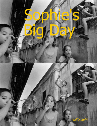 Sophie's Big Day
