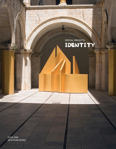 Issue 1: Identity