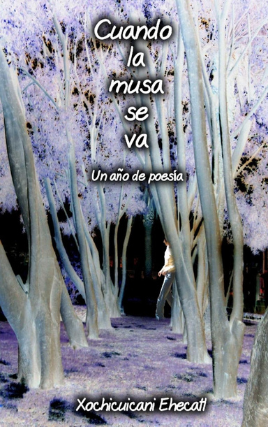 Cuando la musa se va
