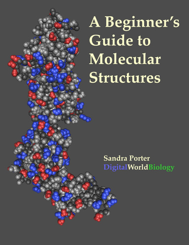 A Beginner's Guide to Molecular Structures