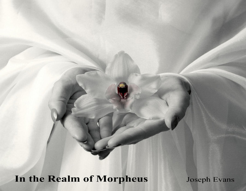 In the Realm of Morpheus