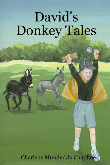 David's Donkey Tales