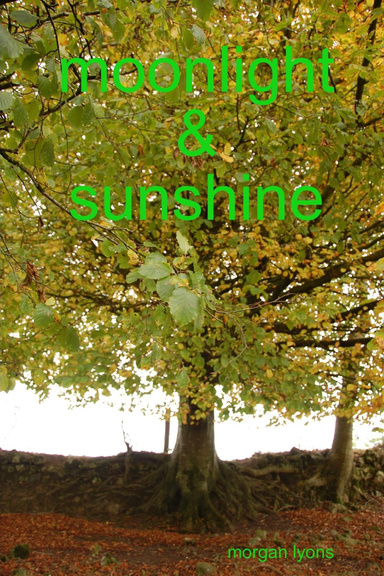 moonlight & sunshine