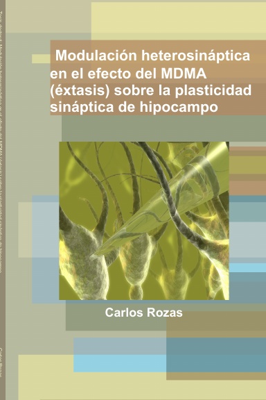 Tesis doctoral: Modulación heterosináptica en el efecto del MDMA (éxtasis) sobre la plasticidad sináptica de hipocampo