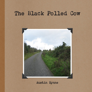 The Black Polled Cow