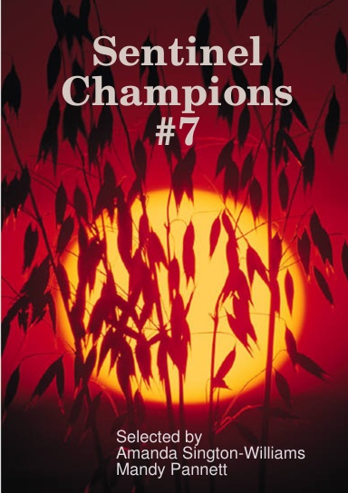 Sentinel Champions #7
