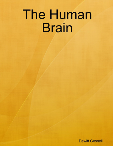 The Human Brain