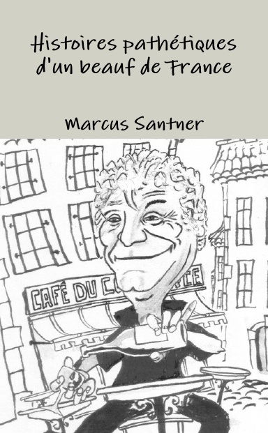 Histoires pathétiques d'un beauf de France