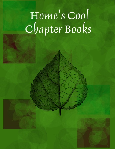 Home's Cool Chapter Books