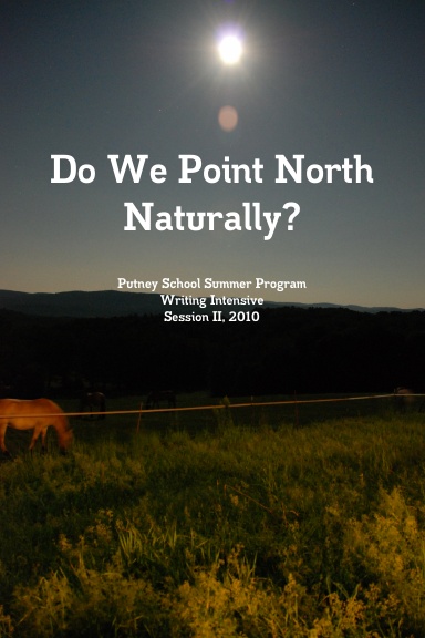 Do We Point North Naturally?