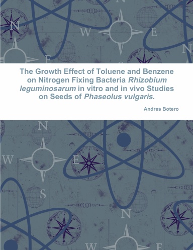The Growth Effect of Toluene and Benzene on Nitrogen Fixing Bacteria Rhizobium leguminosarum in vitro and in vivo Studies on Seeds of Phaseolus vulgaris.