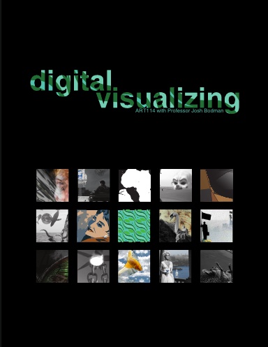 Art 114: Digital Visualizing