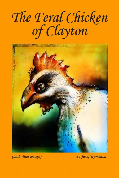 Feral Chicken