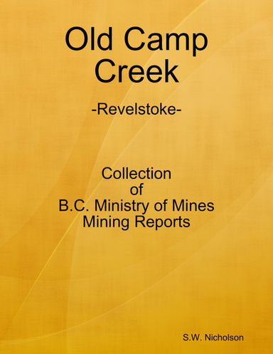 Old Camp Creek [Revelstoke] Mining Reports