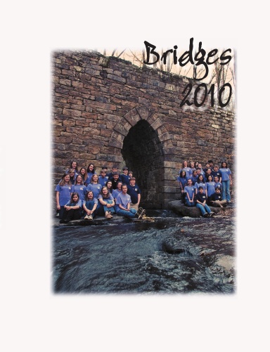 BRIDGES 2010