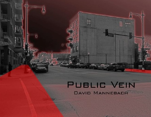 Public Vein
