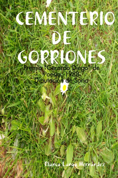 CEMENTERIO DE GORRIONES