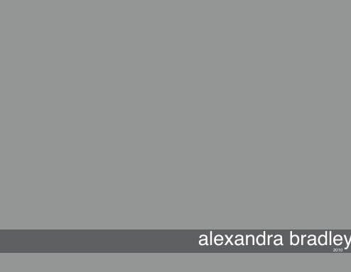 2010 portfolio
