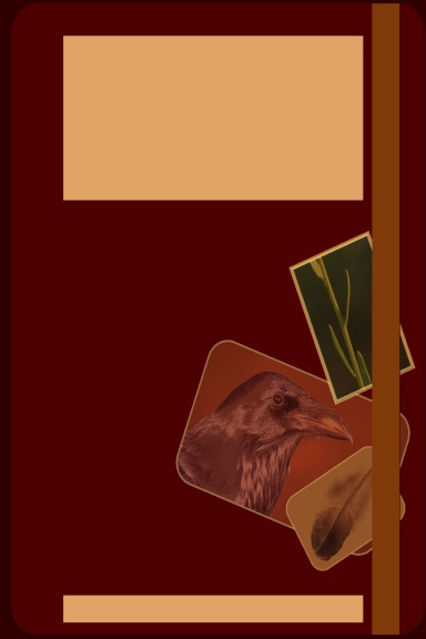 THE MORNING DOVE
