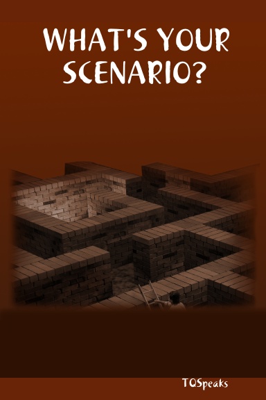 WHAT'S YOUR SCENARIO?