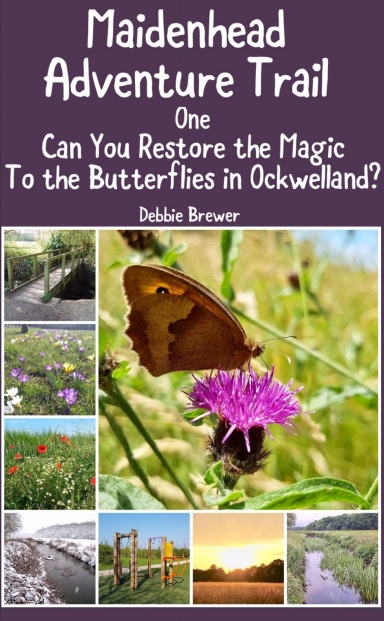 Maidenhead Adventure Trail One, Can You Restore the Magic to the Butterflies in Ockwelland?