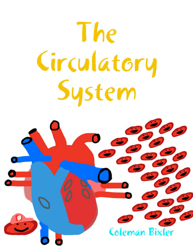The Circulatory System