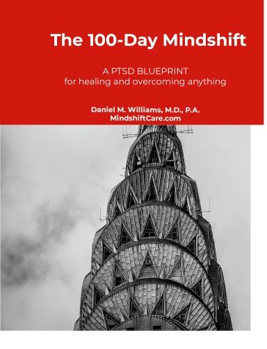 The 100 Day Mindshift