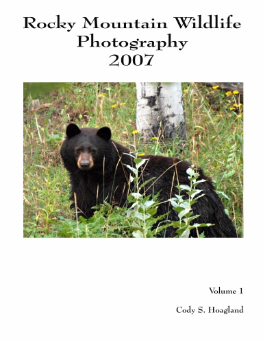 Rocky Mountain Wildlife 2007