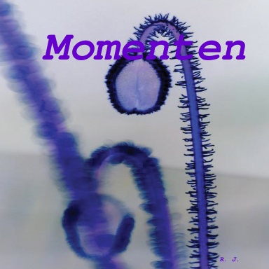 Momenten