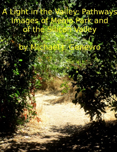 A Light in the Valley: Pathways