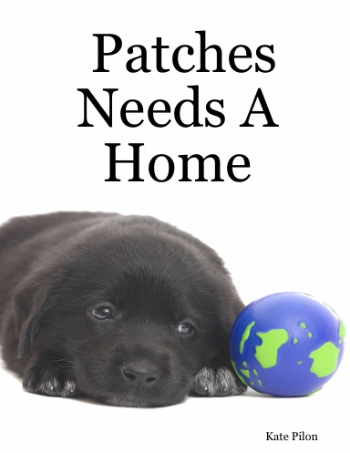 Patches Needs A Home