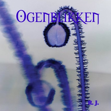 Ogenblikken