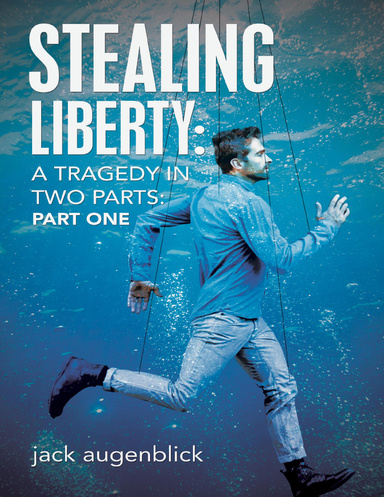 Stealing Liberty by Jennifer Froelich