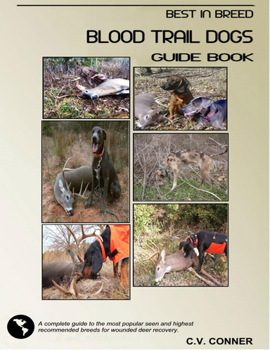 how to train a dog to track a blood trail